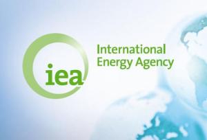 international-energy-agency_0
